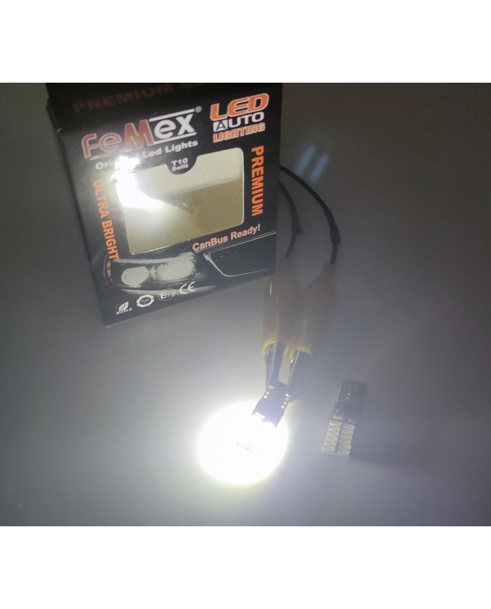 T10-24smd Yassı Led Ampul Canbus Ultra Parlak 300Lumen