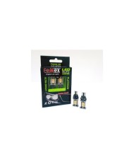 Renault Megane 4 Arka Sinyal Led Ampulu + Dekoder FEMEX W16W T15 Platinum