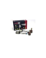 FEMEX Cosmo Plus Csp D-Force H8/11 Led Xenon Led Headlight