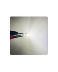 Universal T10 1smd Mini Beyaz Led Ampul 10lu Paket